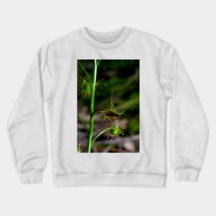 Suppertime For Sundew Crewneck Sweatshirt